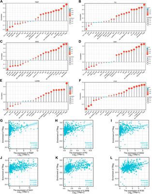 Construction and verification of a novel prognostic risk model for kidney renal clear cell carcinoma based on immunity-related genes